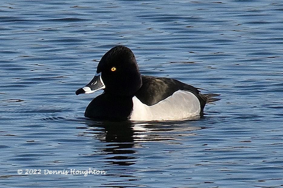 2022Z21_0758Z21_0758